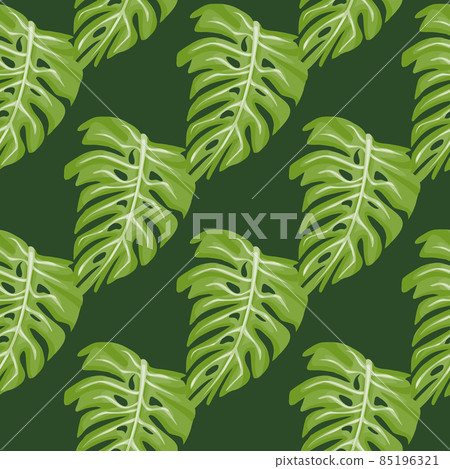 Monstera leaf seamless pattern with hand drawn tropical print. Modern nature background. Vector illustration for seasonal textile . Monstera leaf seamless pattern with hand drawn tropical print. Modern nature background. Vector illustration for seasonal textile . 85196321