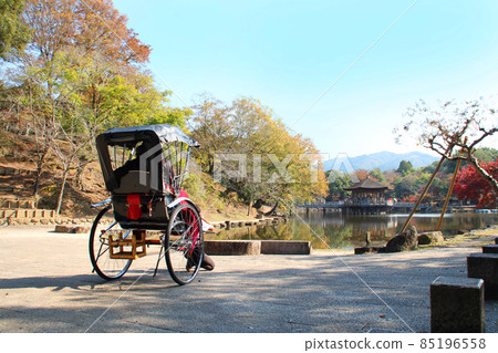秋色中奈良公園的浮禦堂和人力車 85196558