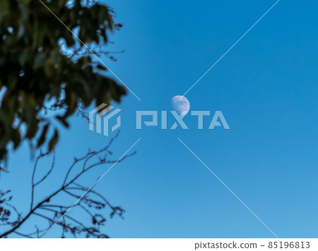 Park on the shore of Lake Biwa in winter Park on the shore of Lake Biwa in winter 85196813