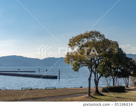 Park on the shore of Lake Biwa in winter Park on the shore of Lake Biwa in winter 85196814
