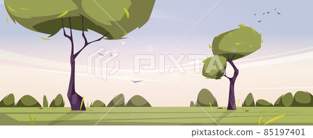 Summer landscape with grass and trees at morning 85197401