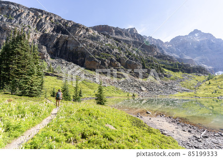 Beautiful green alpine meadow scene with small lake and mountains, British Columbia, Canada  85199333