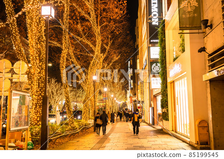 東京表Omotesando·冬季照明 東京表Omotesando·冬季照明 85199545