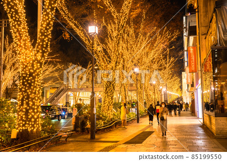 東京表Omotesando·冬季照明 東京表Omotesando·冬季照明 85199550