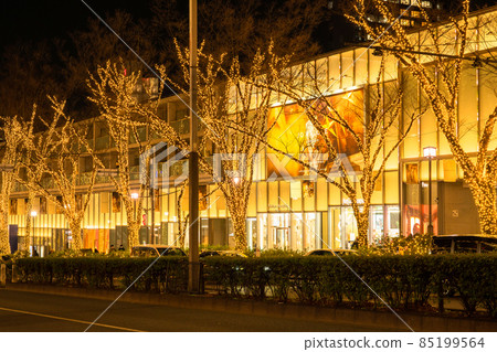 "Tokyo" Omotesando / Winter illuminations "Tokyo" Omotesando / Winter illuminations 85199564