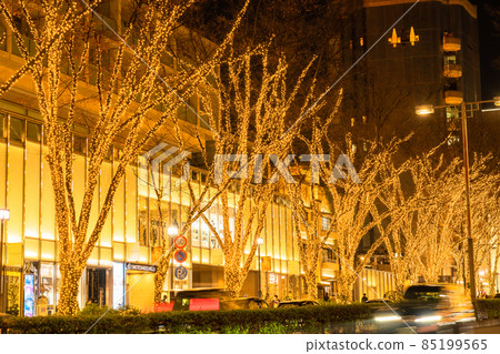 東京表Omotesando·冬季照明 東京表Omotesando·冬季照明 85199565