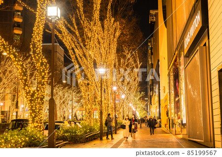 東京表Omotesando·冬季照明 東京表Omotesando·冬季照明 85199567
