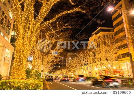 "Tokyo" Omotesando / Winter illuminations 85199600
