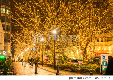 "Tokyo" Omotesando / Winter illuminations "Tokyo" Omotesando / Winter illuminations 85199603