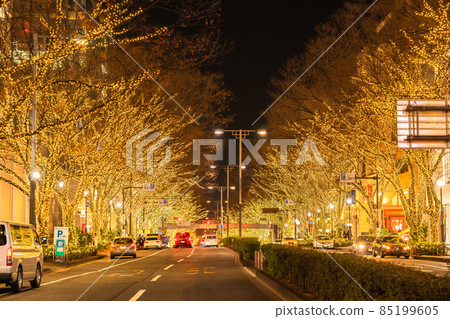 東京表Omotesando·冬季照明 東京表Omotesando·冬季照明 85199605
