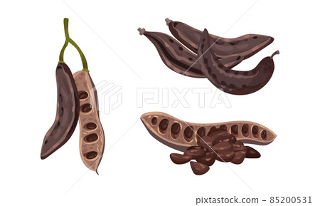 Sweet pods of ripe carob set. Organic healthy food vector illustration Sweet pods of ripe carob set. Organic healthy food vector illustration 85200531