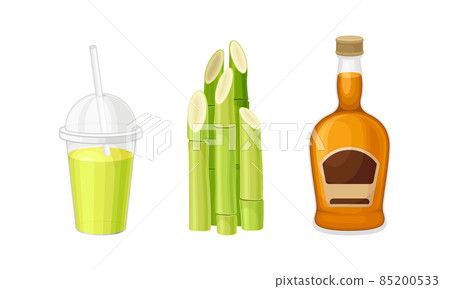 Sugarcane products set. Kombucha and bottle of rum vector illustration 85200533