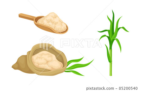 Sugarcane plant and cane sugar. Natural organic food production vector illustration Sugarcane plant and cane sugar. Natural organic food production vector illustration 85200540