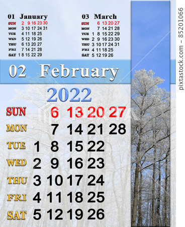 calendar for February 2022 with pine branch covered by hoarfrost. Photo calendar calendar for February 2022 with pine branch covered by hoarfrost. Photo calendar 85201066