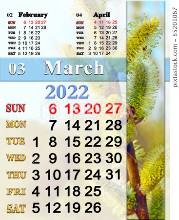 calendar for March 2022 with pine branches of blossoming willow. Photo calendar calendar for March 2022 with pine branches of blossoming willow. Photo calendar 85201067