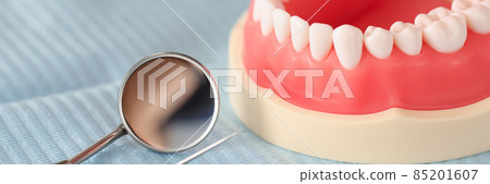 Dental artificial jaw and dental instrument on table closeup Dental artificial jaw and dental instrument on table closeup 85201607