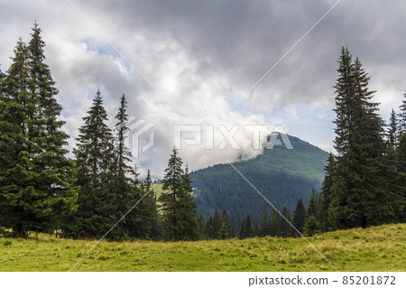 Clouds over top of a mountain with green pine forest and grass meadow Clouds over top of a mountain with green pine forest and grass meadow 85201872