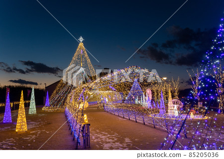 Illuminations in the Nakayama Bonchi Road Station, Takayama Village, Gunma Prefecture Illuminations in the Nakayama Bonchi Road Station, Takayama Village, Gunma Prefecture 85205036