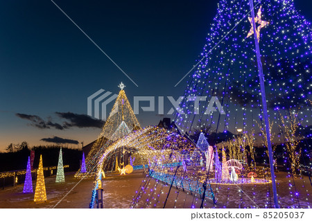 Illuminations in the Nakayama Bonchi Road Station, Takayama Village, Gunma Prefecture 85205037