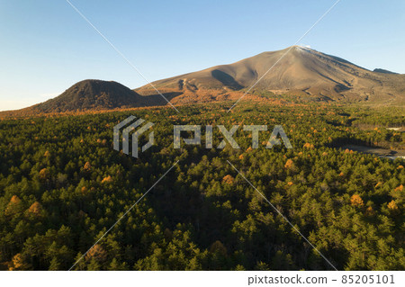 Drone aerial view of Mt. Asama in the morning and the forest of trees that are dyed red in autumn colors 85205101