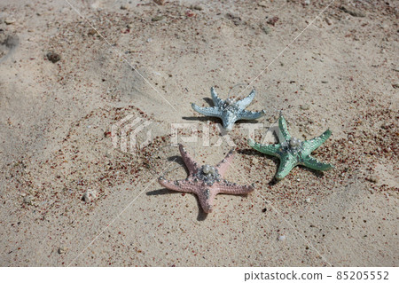 Multicoloured starfishes on the sand. Holiday concept. Multicoloured starfishes on the sand. Holiday concept. 85205552