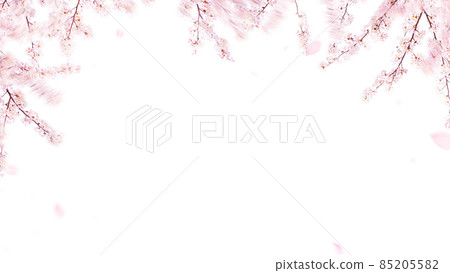 Simple cherry blossom background 85205582