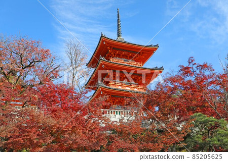 Kiyomizu Temple Mie Pagoda and Autumn Leaves 85205625