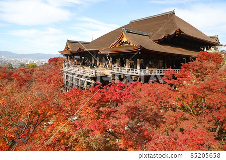 Kiyomizu-dera main hall and autumn leaves Kiyomizu-dera main hall and autumn leaves 85205658
