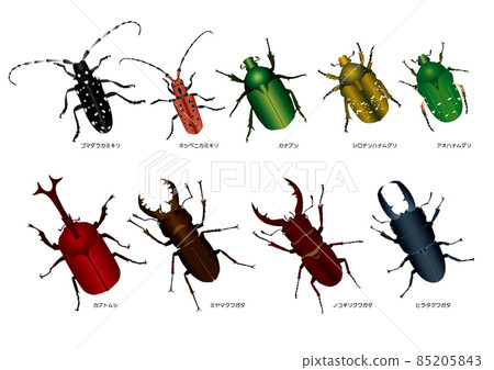 Japanese beetle 85205843