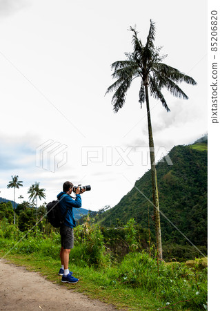 Tourist taking pictures at the beautiful Valle de Cocora located in Salento at the Quindio region in Colombia 85206820