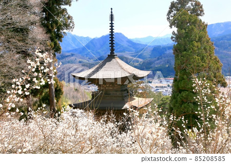 Daihoji Temple, Mie Tower and Umezono 85208585