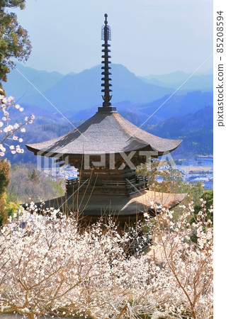 Daihoji Temple, Mie Tower and Umezono 85208594