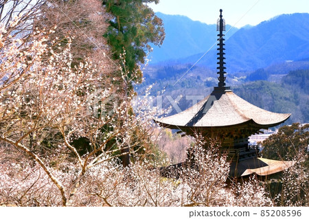 Daihoji Temple, Mie Tower and Umezono 85208596