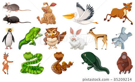 Set of different wild animals cartoon characters Set of different wild animals cartoon characters 85209214