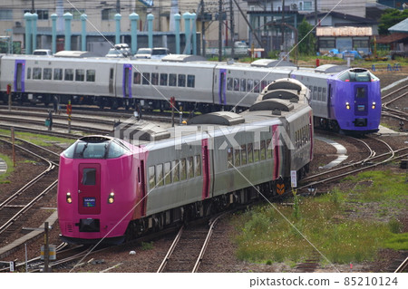 Hamanasu形成和薰衣草形成 85210124