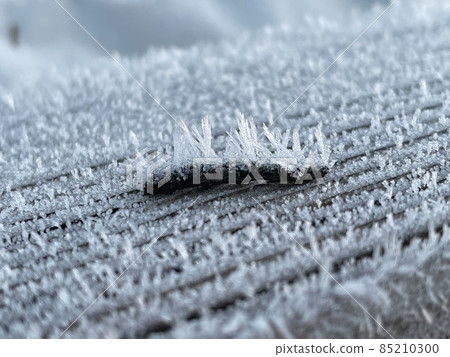 隆冬清晨的霜凍 隆冬清晨的霜凍 85210300