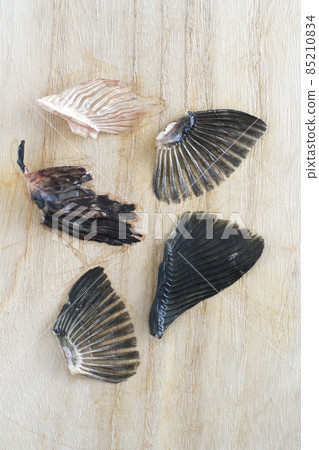 Fugu fin 85210834