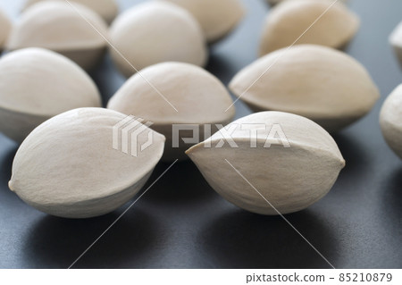 Ginkgo 85210879