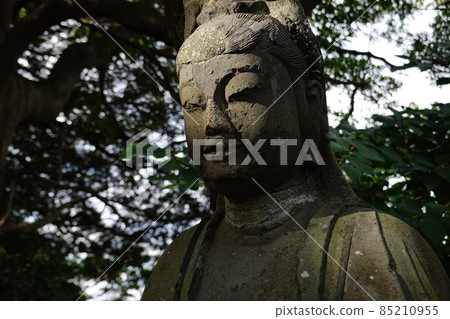 Yanbun Hiroi Yanbun Hiroi 85210955