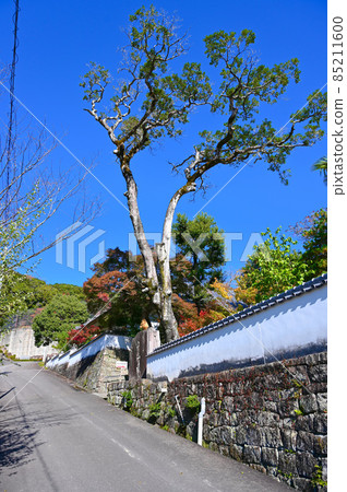 Takiyama Temple Takisan Toshogu Shrine Honbo's approach to Okazaki City 85211600