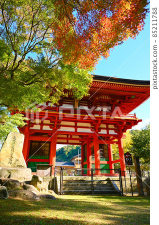 Takisanji Sanmon Autumn Leaves Okazaki City 85211788