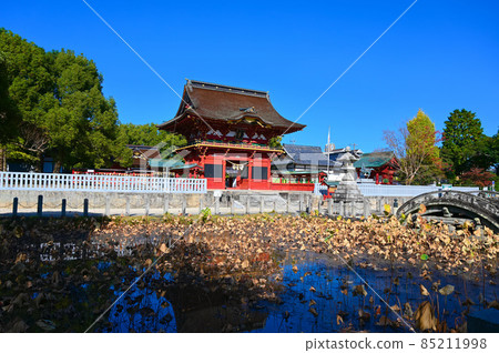 伊賀八幡宮瑞神門和岡崎蓮池 伊賀八幡宮瑞神門和岡崎蓮池 85211998