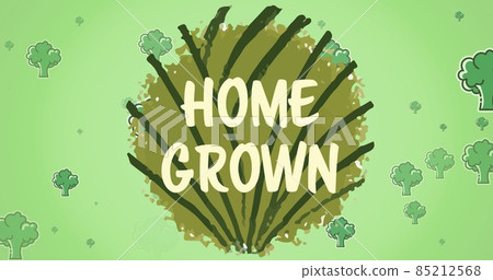 Digital composite image of home grown text on cabbage leaf amidst broccoli against green background 85212568
