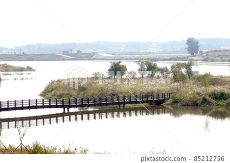 羅州永山河上游舊景 羅州永山河上游舊景 85212756
