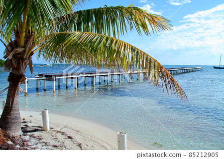 Caye Caulker, an island in the Caribbean Sea of Belize, Central America, palms and piers on sandy beaches 85212905