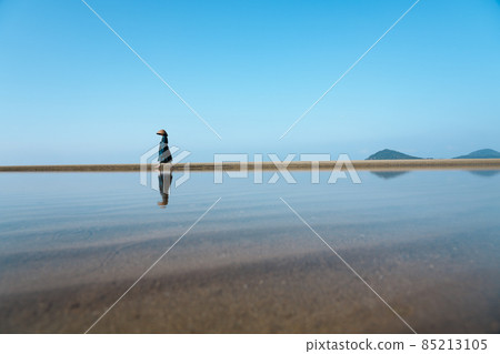 Chichibugahama and the monk 85213105