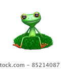 3D Illustration of a Frog on a Green Lawn 85214087