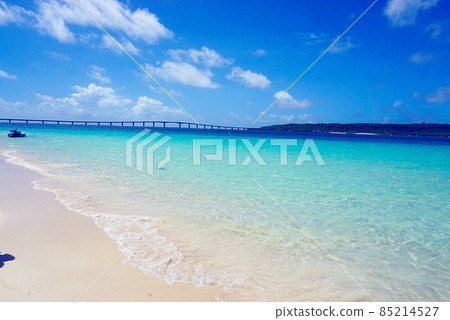 海 海 85214527
