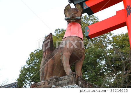 Kitsunezo of Fushimi Inari Taisha Shrine Kitsunezo of Fushimi Inari Taisha Shrine 85214635