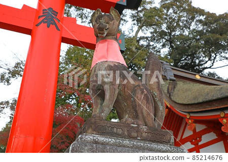 Kitsunezo of Fushimi Inari Taisha Shrine Kitsunezo of Fushimi Inari Taisha Shrine 85214676
